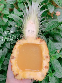 Bột agar làm thạch cho bé- hữu cơ Ruf Đức 3/2023