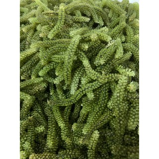 350G Rong Nho Tươi Nở Ra x(3 gói) + Giảm Giá Khi Mua Sốt Mè Rong Nho