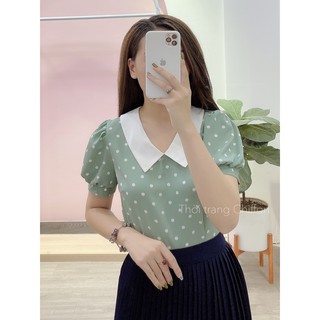 Chiffon_Áo sơ mi chấm bi cổ phối