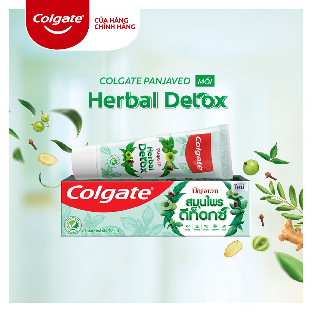 Bộ Chăm sóc răng miệng Colgate từ thiên nhiên: Kem đánh răng thảo mộc 120g + Nư