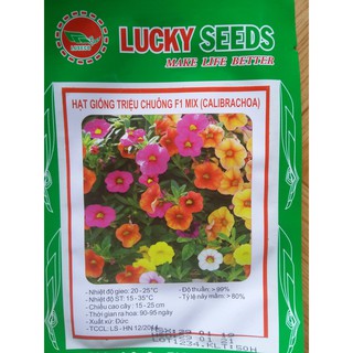 [TOP DỄ TRỒNG] Hạt giống hoa Triệu chuông Lucky Seeds