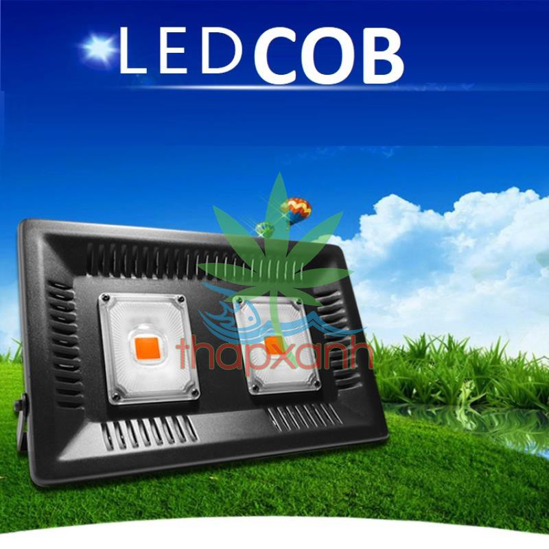 Đèn Led trồng cây trong nhà COB-100W Epistar Slim, Đèn trồng cây trong nhà chuyên dụng