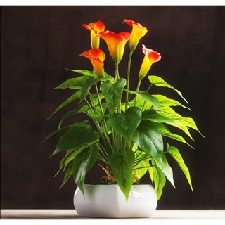 Cây giả- cây hoa giả trang trí cao cấp (trắng, cam) không bao gồm chậu