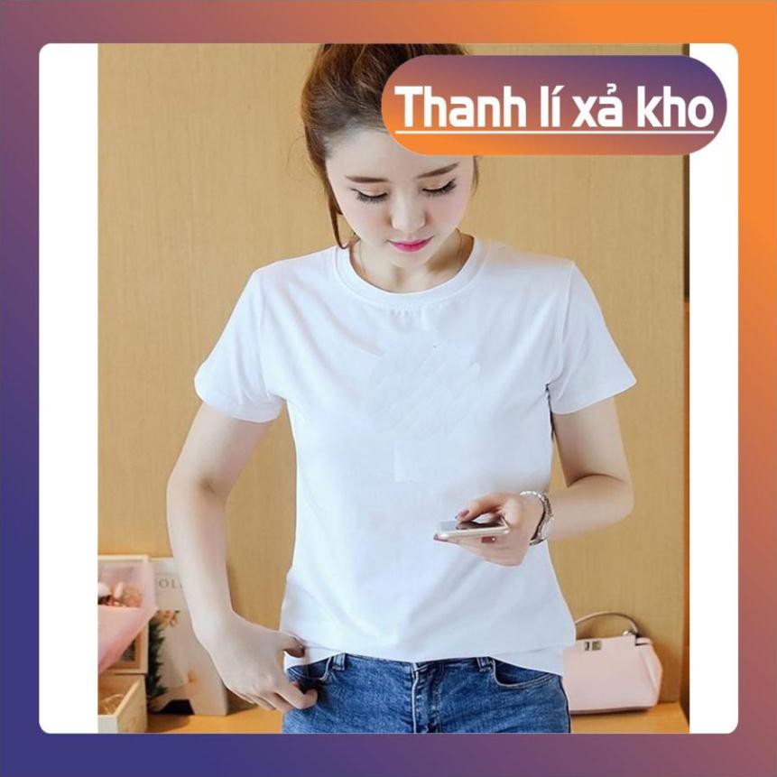 Bán lẻ giá sỉ áo thun trơn nữ cổ tròn chất liệu cotton vải dày mịn 4 chiều cao cấp