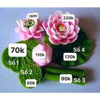 khuôn silicon sen các mẫu 1- 6