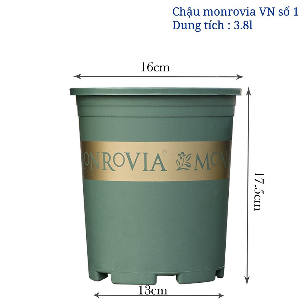 Chậu Monrovia VIỆT NAM 1GL XANH 16X17CM