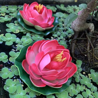 (Chọn màu ngẫu nhiên) Tiểu cảnh Búp Sen Nổi Trang Trí Hồ Cá.