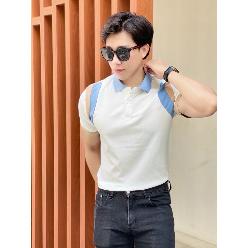 Áo polo nam cổ bẻ vải cá sấu Cotton xuất xịn,chuẩn form, sang trọng - thanh lịch TB021