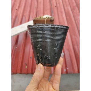 20 chậu nhựa mềm size 10×10