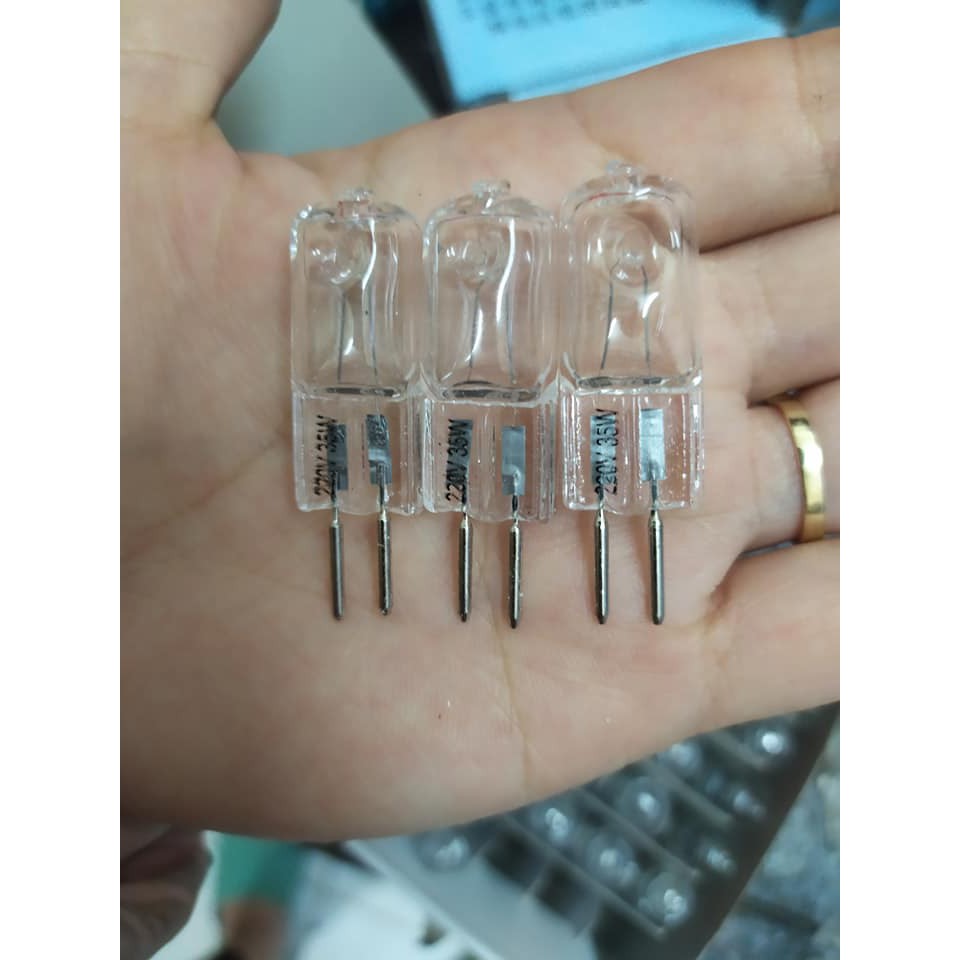 Bóng đèn halogen 35/50 W dùng cho đèn xông tinh dầu BÁT TRÀNG - 5 cái