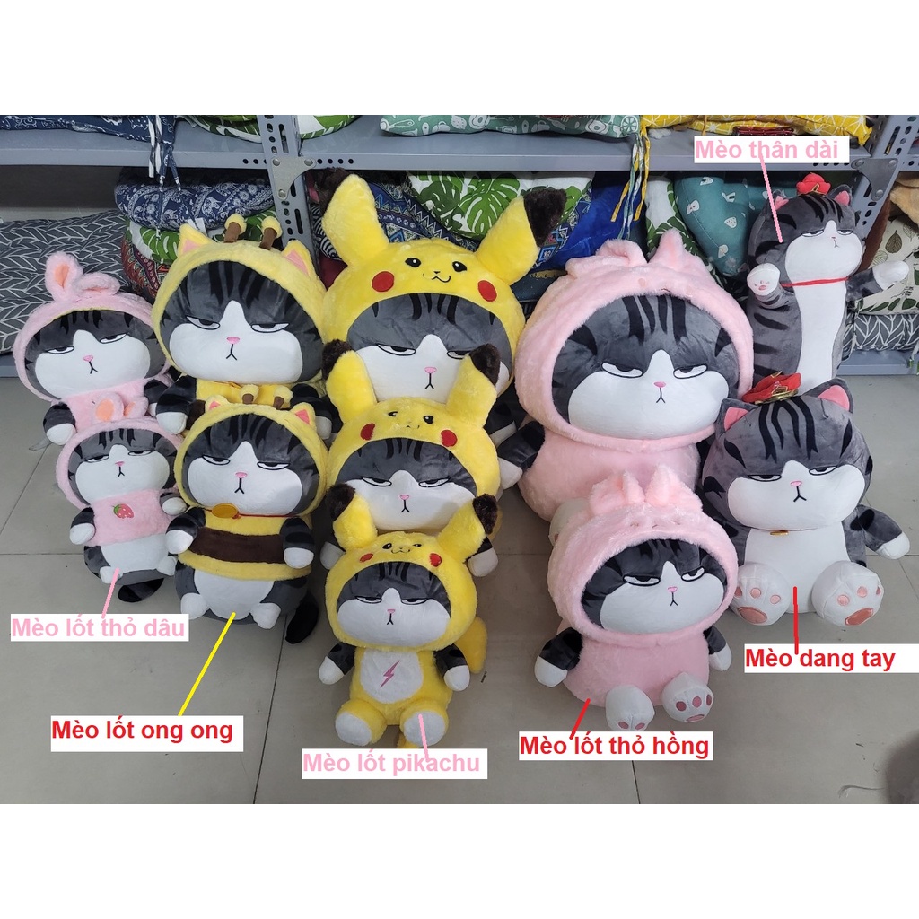 Gấu bông mèo hoàng thượng, chó nô tài cosplay độc đáo