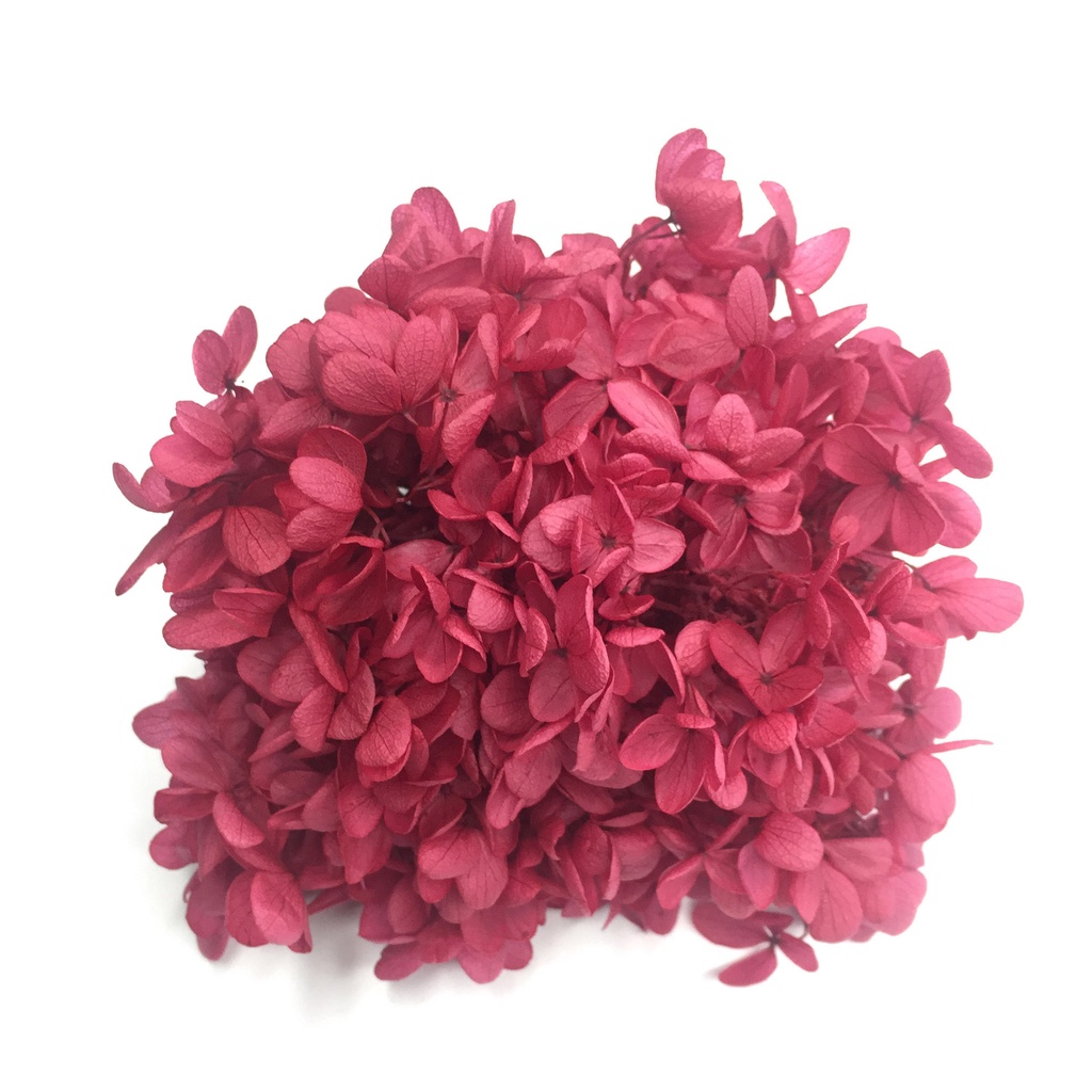 Hoa Cẩm Tú Cầu - Hoa Khô - Nguyên Liệu Làm Handmade