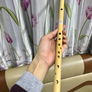 Sáo trúc 10 lỗ (tone tuỳ chọn-free ship)