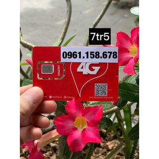 Số đẹp mịn