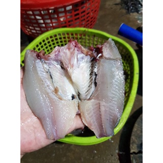 Khô Cá Phi - Đặc Sản Bạc Liêu - Bịch 0.5Kg