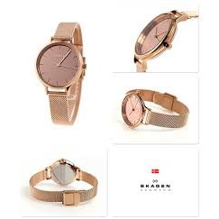 [GIÁ HỦY DIỆT - Chính Hãng - Free ship - Không ưng hoàn tiền] Đồng hồ nữ Skagen Skw2413 dây thép lưới 3 kim, BESTPRICE