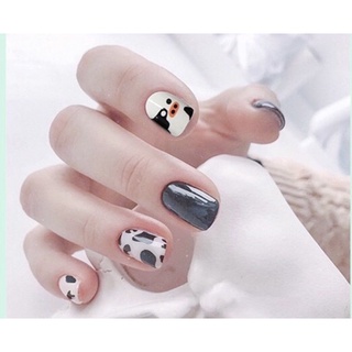 Nailbox thiết kế