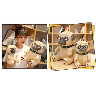 Chó Bông Mặt xệ Pug