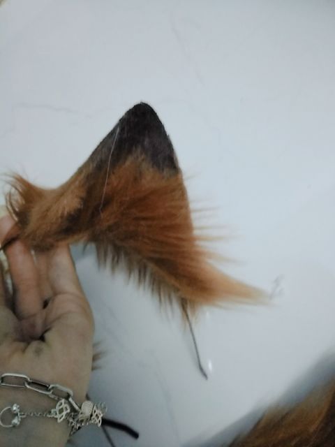 Tai mèo nâu loang màu chỏm đen cosplay | BigBuy360 - bigbuy360.vn