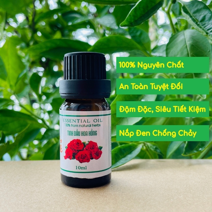 Tinh dầu Hoa Hồng Canifo 10ml - Hàng thương hiệu, Thơm tự nhiên, lãng mạn và sang trọng