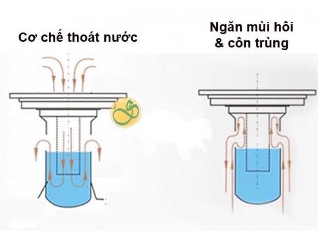 Thoát sàn ngăn mùi hôi và côn trùng kích thước 12x12 cm, hố ga lắp được nhiều đường ống rất linh hoạt dễ dùng.