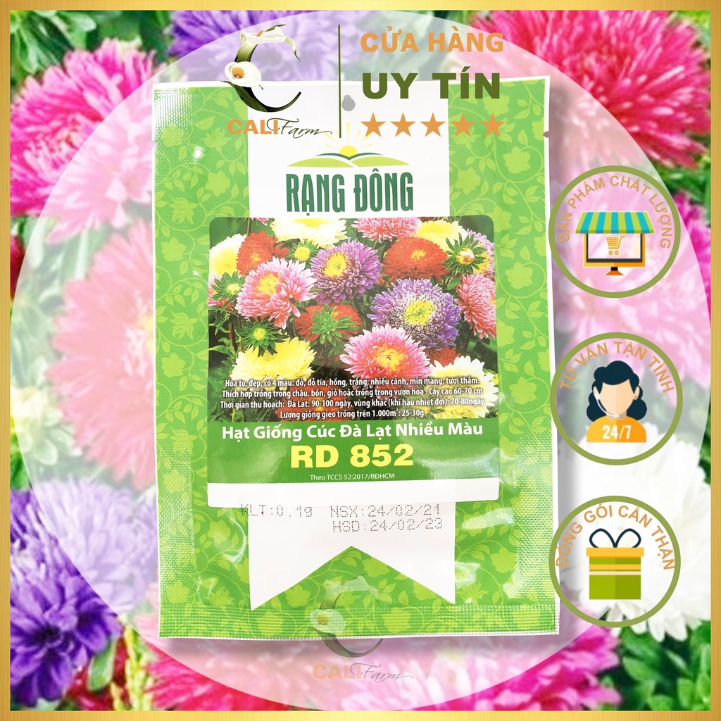 Hạt Giống Hoa Cúc Đà Lạt Nhiều Màu RD 852 gói 0,1gr