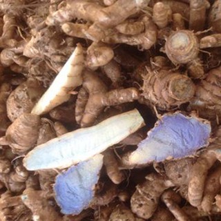 Bột Nghệ Đen 100g