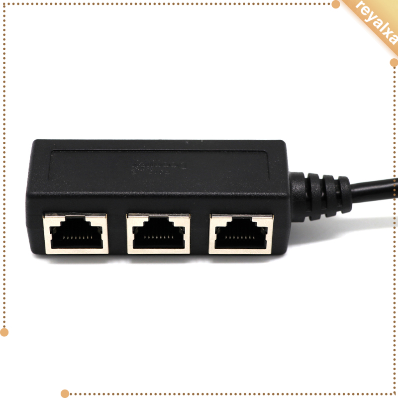 Bộ Chia Cổng Mạng Lan 1 Male Sang 3 Female 8p8c | BigBuy360 - bigbuy360.vn