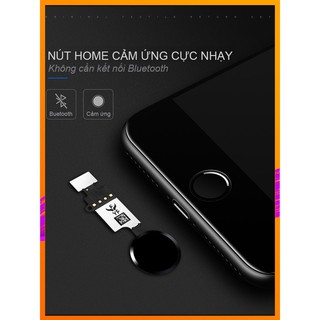 Nút home cảm ứng cho iphone 7/7 plus và 8/8 plus