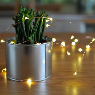 Đèn Led Đom Đóm 10m