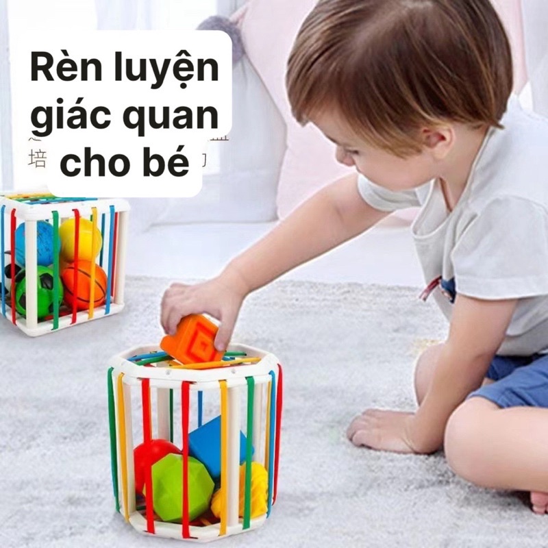 TRÒ CHƠI HÌNH TRỤ RÈN LUYỆN GIÁC QUAN RÈN KĨ NĂNG VẬN ĐỘNG TINH CHO BÉ