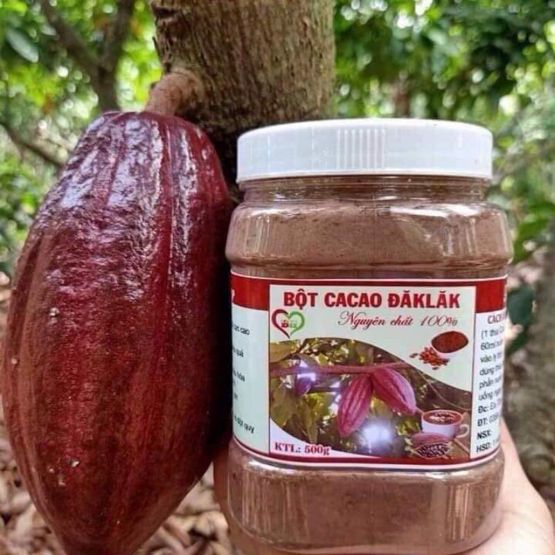 500GR Bột cacao nguyên chất 100%  Đắc Lắc -Uống thơm ngon, mịn mướt