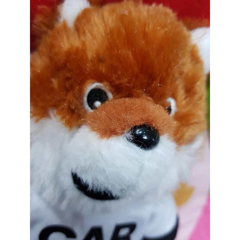 Gấu bông cáo Car Fox( đồ cởi được)