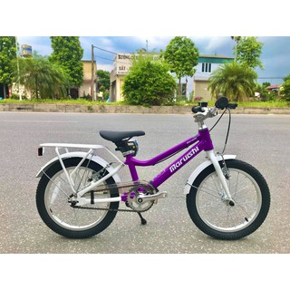 Xe đạp trẻ em Nhật Future 16 inch