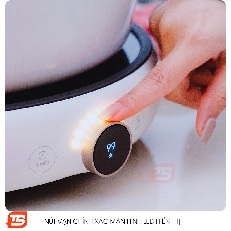 Bếp từ Xiaomi Zhiwuzhu ZCL01M Phiên bản Quốc Tế