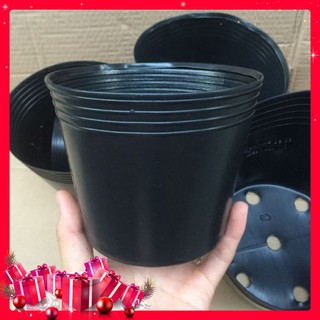 Combo 10 Chậu (Bầu) Ươm Cây Giống (16 x14 Cm)