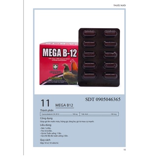 Mega B12 - Nuôi tăng nước máu - tăng bo gà đá - 2 vĩ