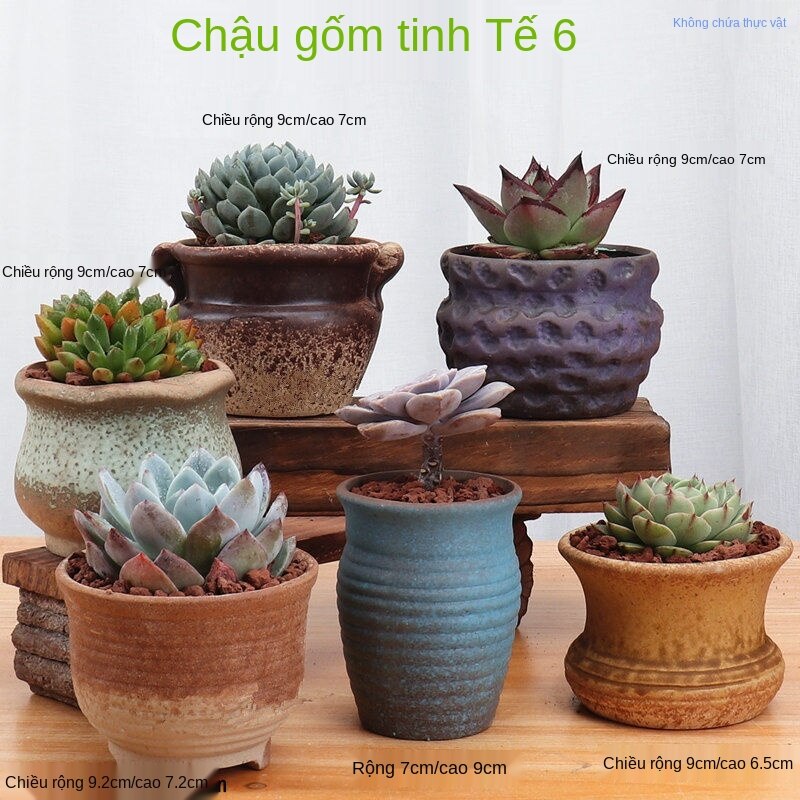 chậu hoa đẹp，  chậu hoa ban công，  chau hoa，  chậu hoa treo tường，  chậu hoa giả mini，  chậu hoa gỗ，  chậu hoa giả trang trí，  chậu hoa hồng，  kệ để chậu hoa，  chậu hoa trang trí，  chậu hoa để bàn，  chậu hoa sứ，