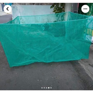 Tráng Nuôi Cá, Nuôi ốc