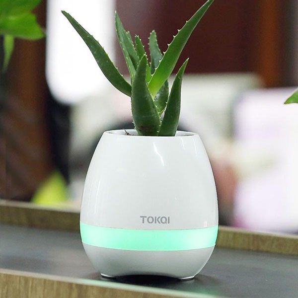 [5🌟][FREESHIP-150K] LOA BLUETOOTH K3 TOKQI KIÊM CHẬU HOA TRỒNG CÂY CÓ LED [SALE]