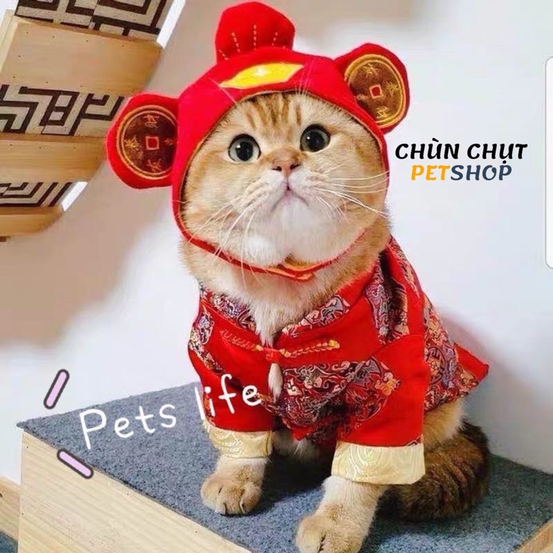 Mũ cho Chó Mèo cosplay Mèo thần tài - Nón cho thú cưng cao cấp