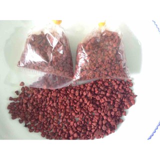 HẠT MÀU ĐIỀU 1KG