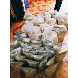 Hạt bí trắng Hà Giang (hạt to, đều, mẩy)