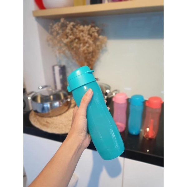 Bình nước eco bottle gen 2 500ml