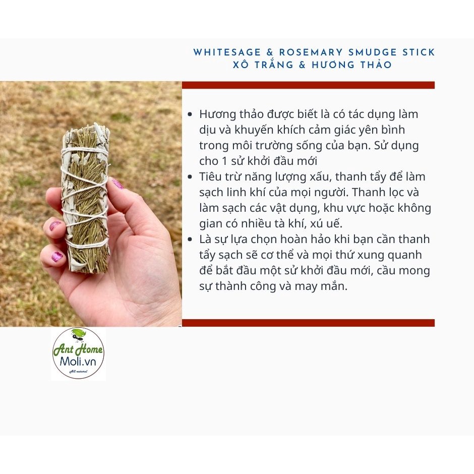 Bó lá xô thơm mix hương thảo California White Sage + Rosemary Smudge Incense 3&quot;-4&quot; Bundle