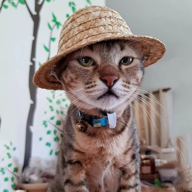 Phụ Kiện Mũ Nông Dân Cổ điển Vật Nuôi Mèo Và Chó Bóng Râm Thời Trang Dễ Thương Dệt Tay Thoải Mái Thoáng Khí Mùa Xuân Và Mùa Hè Mũ Rơm