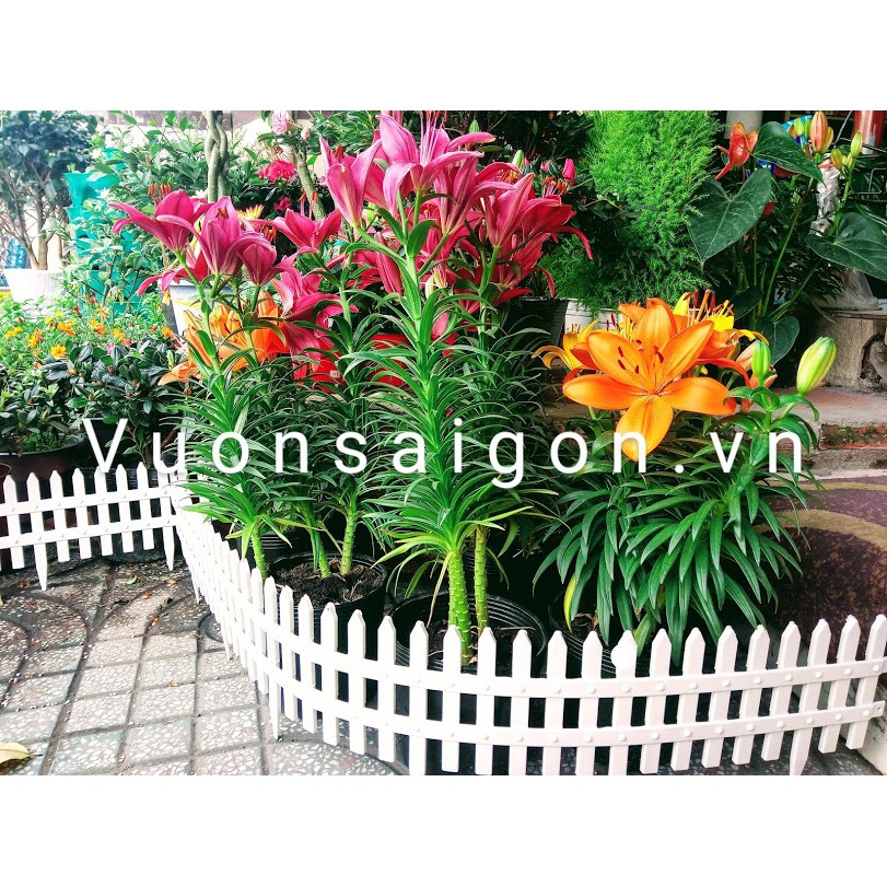 (Combo 3 miếng) Hàng rào nhựa trắng lắp ghép trang trí sân vườn, cây thông Noel, trang trí Giáng Sinh (55cm X 14cm)