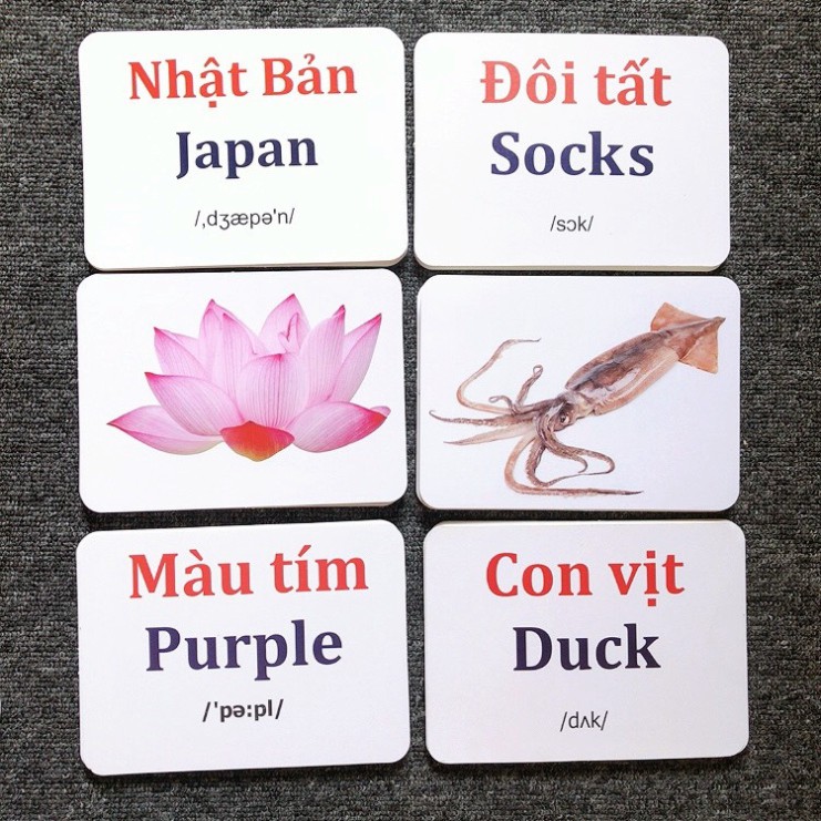 [QUÀ 0đ] Thẻ học thông minh cho bé, flashcards 16 chủ đề cho bé học song ngữ, thẻ Glenn doman LOẠI CHUẨN ĐẸP