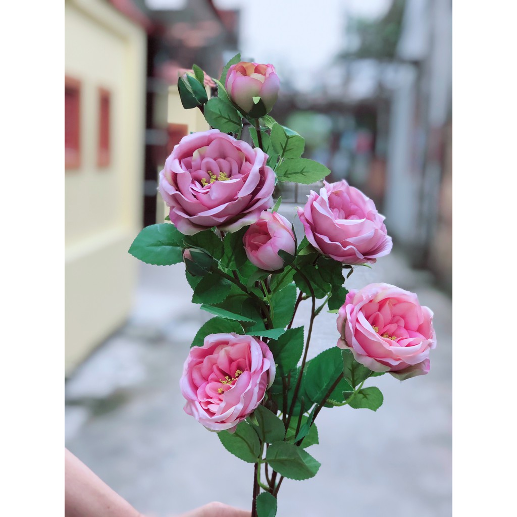 [Mã NGUY2612 giảm 10K đơn 100K]_HOA GIẢ_HOA LỤA Cành hoa hồng austin hoa lụa nhập khẩu cao cấp, hàng giống thật