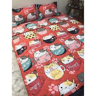 Set 5 chăn hè ga gối Tặng vỏ gối ôm MÈO CỐC ĐỎ, đủ kích thước